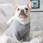 Dog Pet Clothes