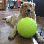 Dog Durable And Fun Rubber Molar Tennis