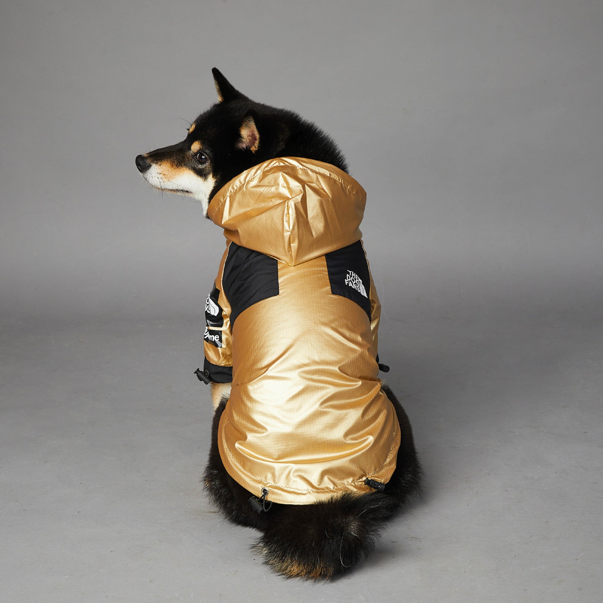 Large dog raincoat
