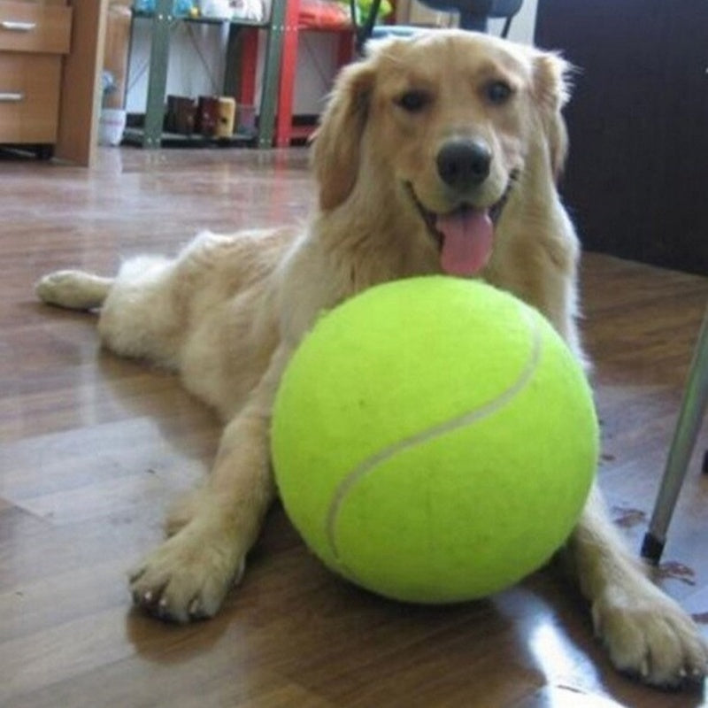 Dog Durable And Fun Rubber Molar Tennis