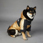 Large dog raincoat