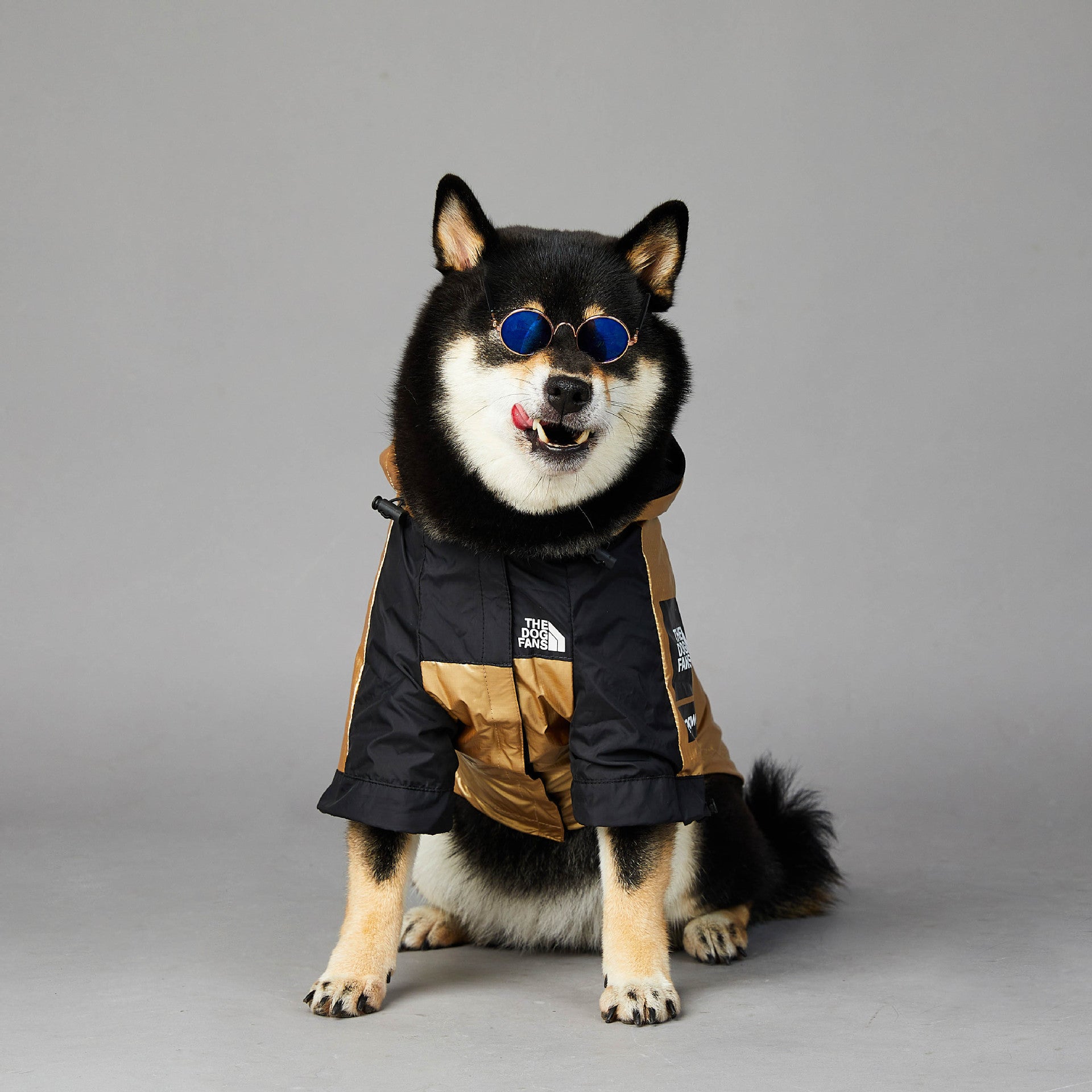 Large dog raincoat