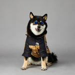 Large dog raincoat
