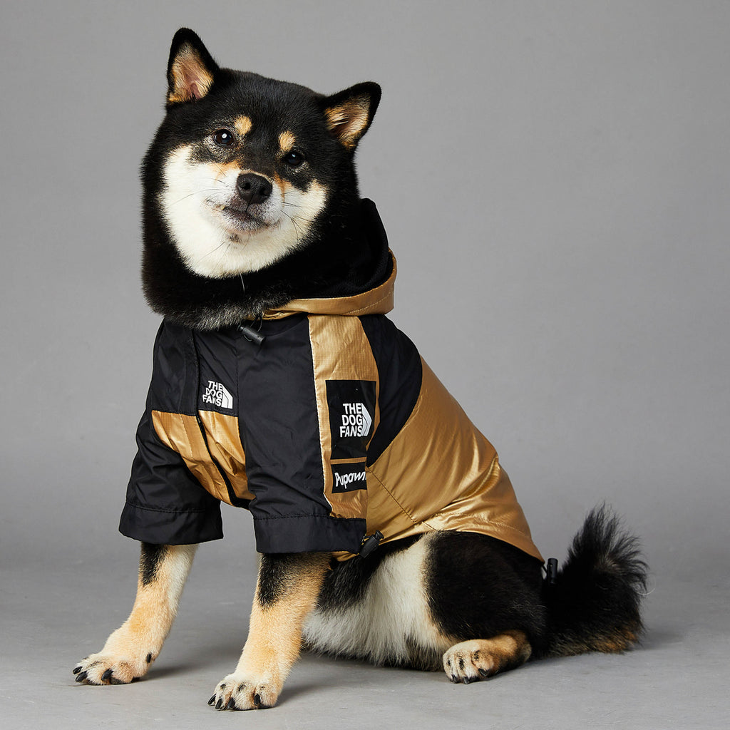 Large dog raincoat